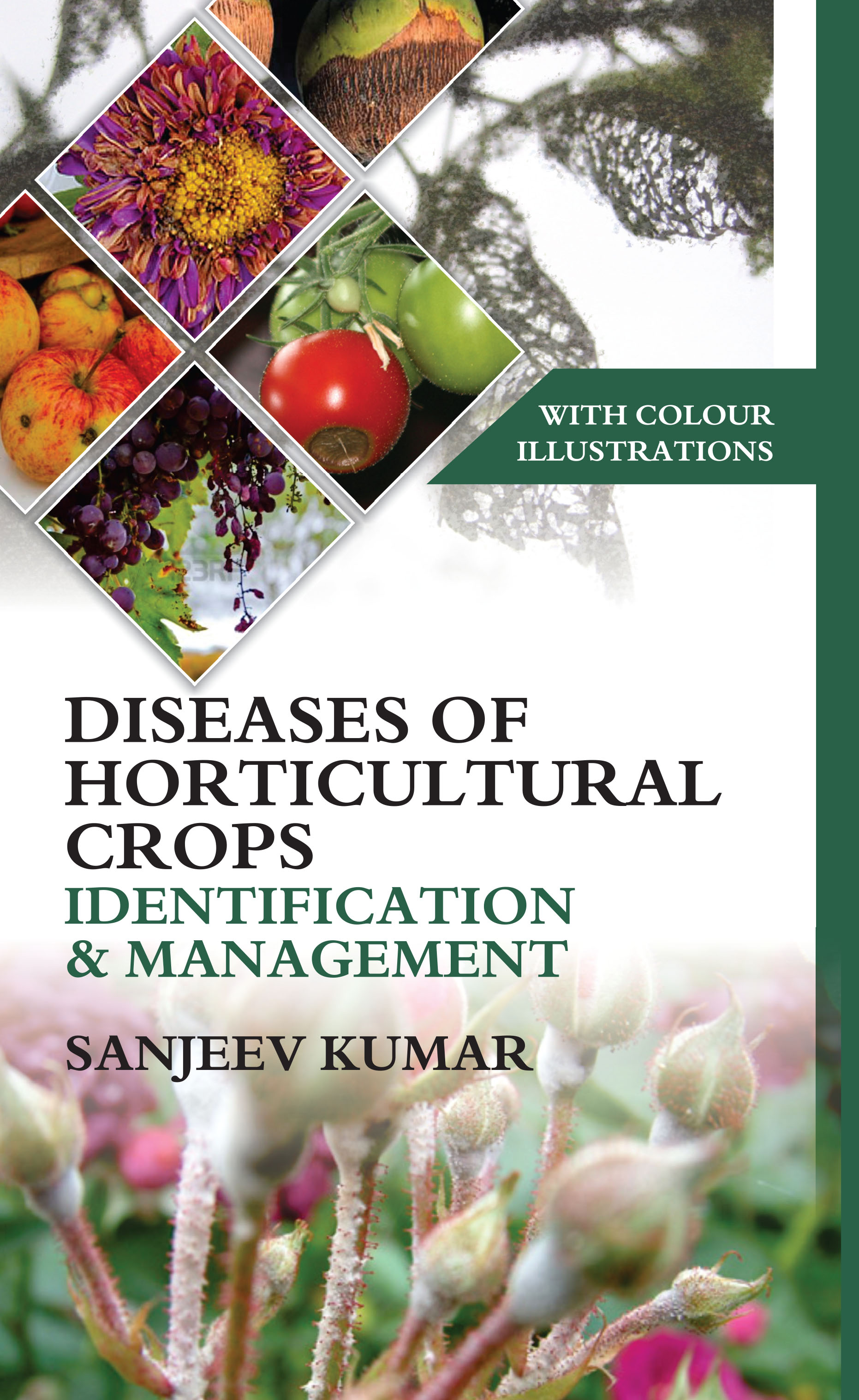 DISEASES OF HORTICULTURAL CROPS IDENTIFICATION AND MANAGEMENT