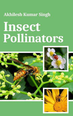 INSECT POLLINATORS